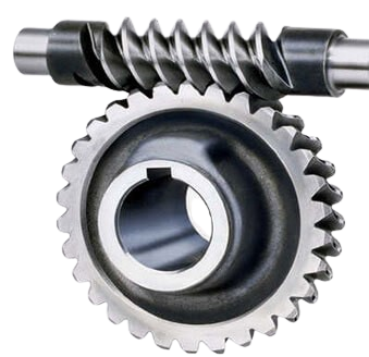 worm gear